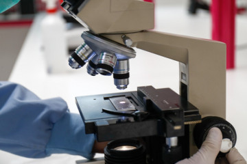 Investigacincientfica 3