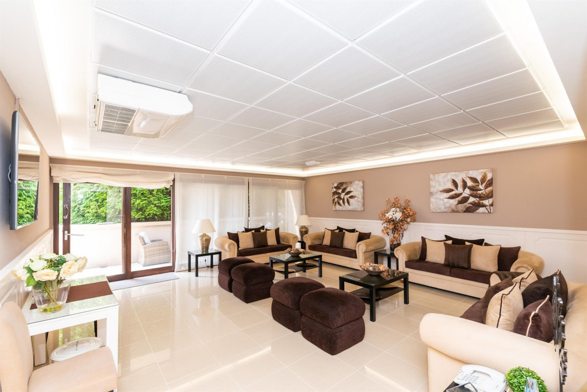 Sala IV   Abedul 