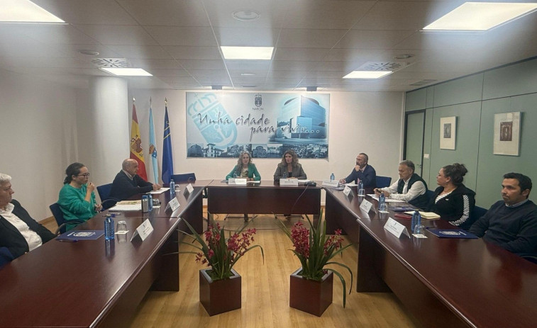 Comisión informativa en Narón por por la plaga de moscas en O Val