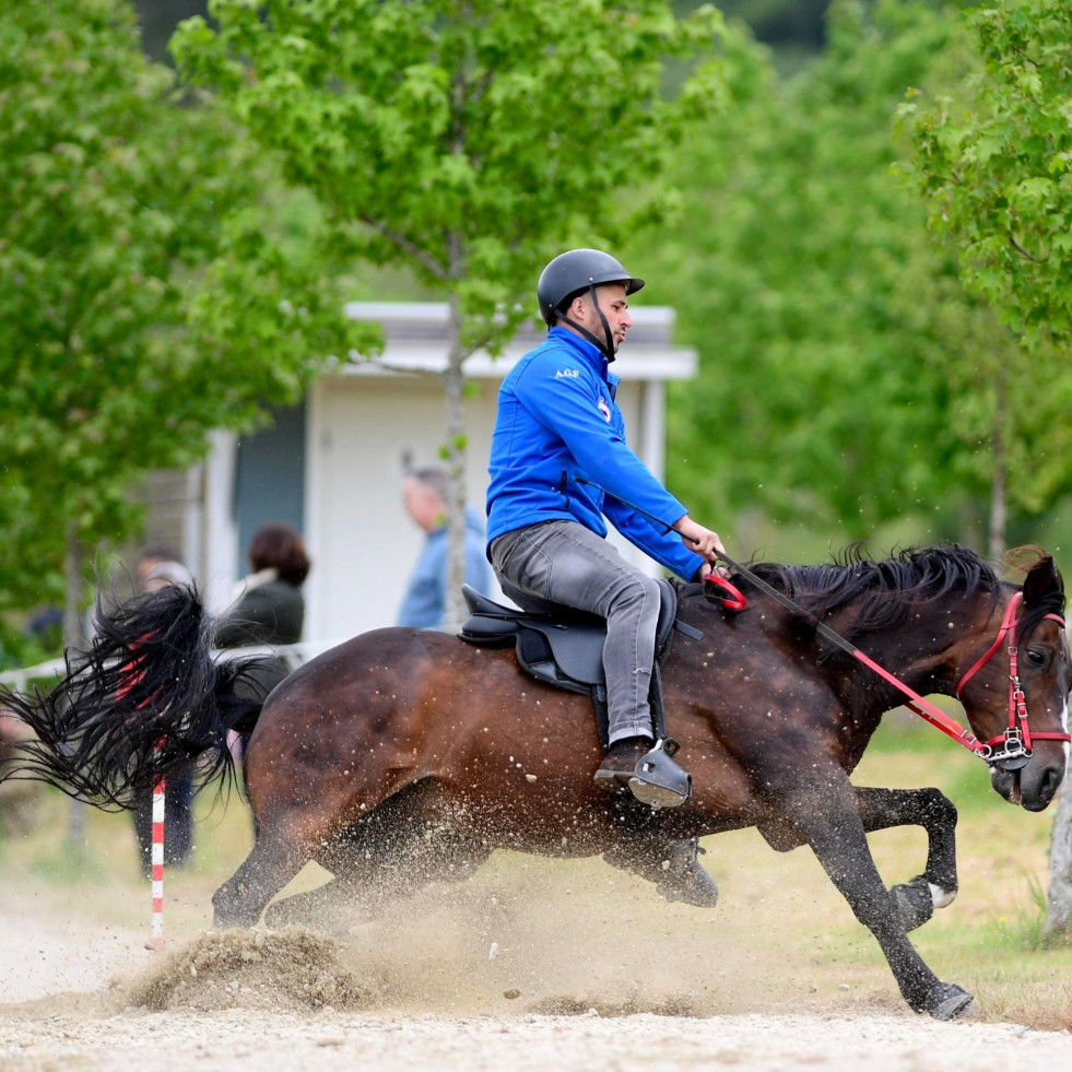 Novedades para el III As Pontes Ecuestre del 7 de junio