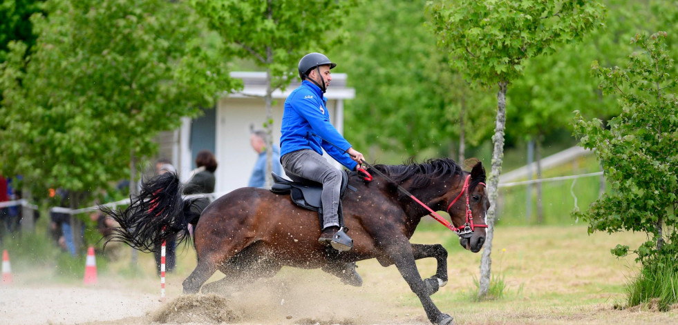 Novedades para el III As Pontes Ecuestre del 7 de junio