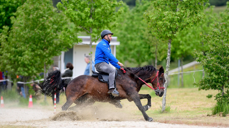 Novedades para el III As Pontes Ecuestre del 7 de junio