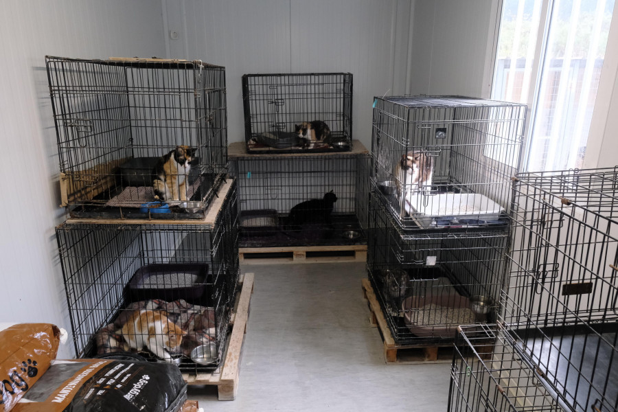 El proyecto de ampliación del refugio de animales de Mougá entra en fase de licitación