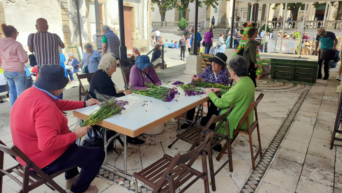 XVI Festa Interxeracional dos Maios en Ortigueira (5)
