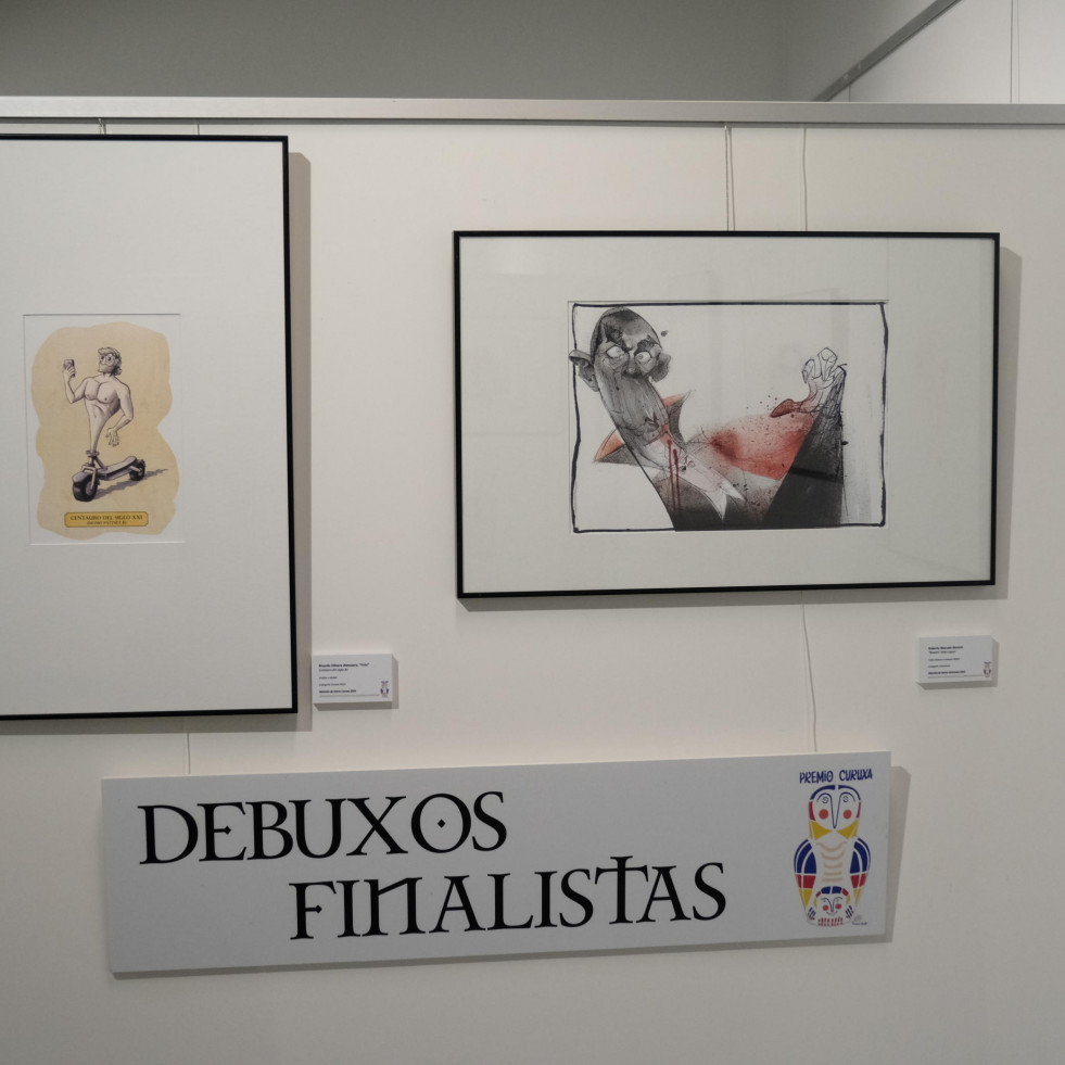 O xurado dos Premios Curuxa 2025 dará a coñecer mañá aos gañadores