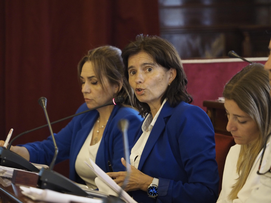 El pleno aprueba inicialmente la ordenanza de ruidos, que se expondrá durante un mes