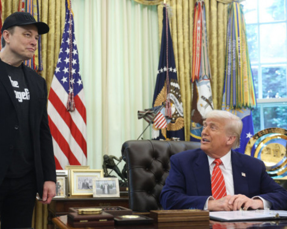 DonaldTrumpyElonMusk