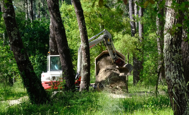 Salen a licitación las obras de mejora ambiental del pinar de A Madalena en Cabanas