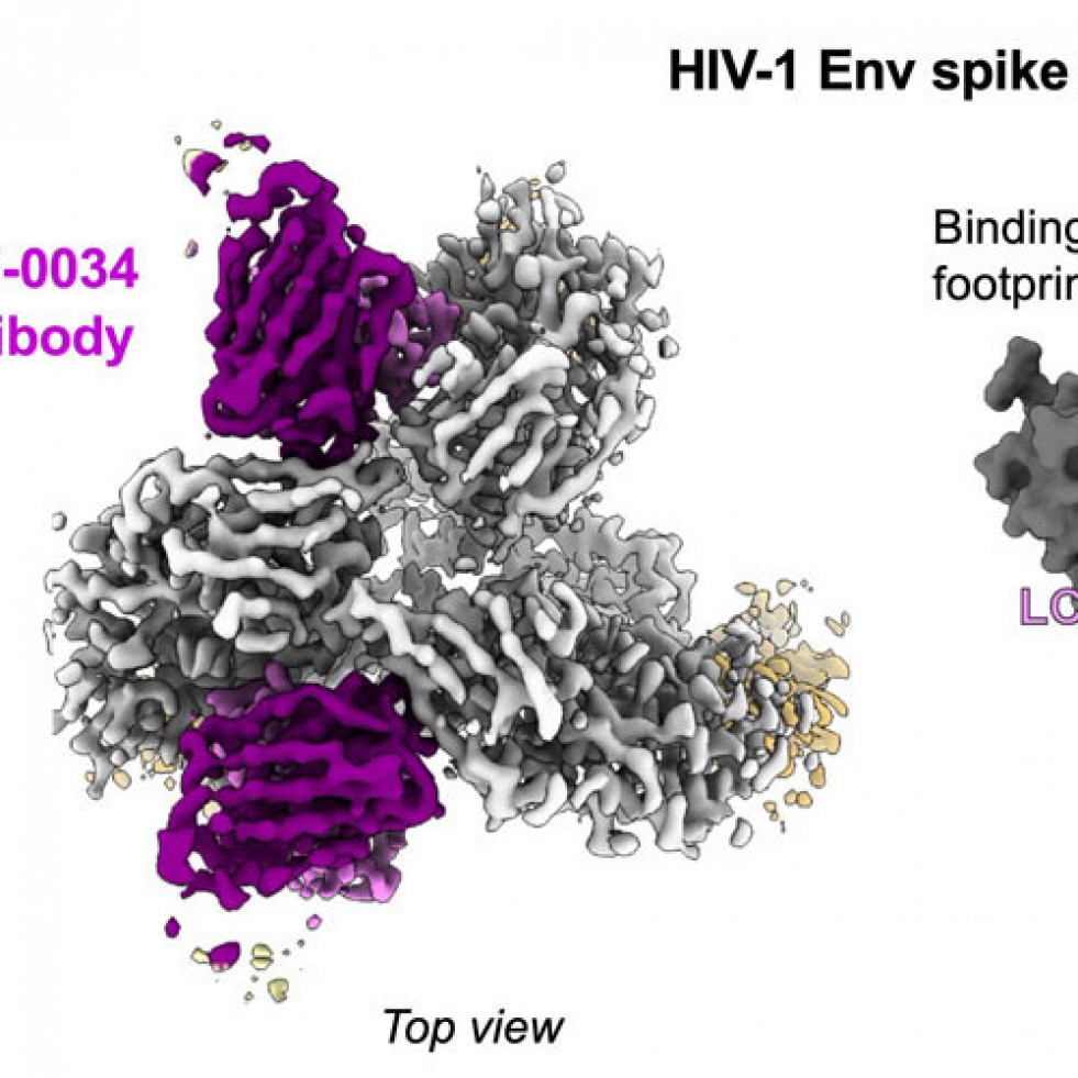 20250527 wyatt hiv vaccine 920x500