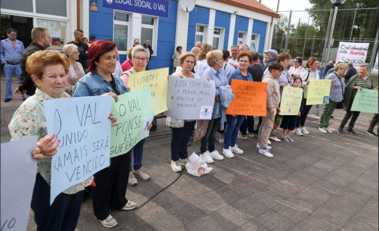 Los vecinos de O Val llevarán a la Xunta el problema de la plaga de moscas