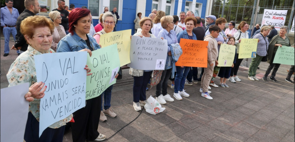 Los vecinos de O Val llevarán a la Xunta el problema de la plaga de moscas
