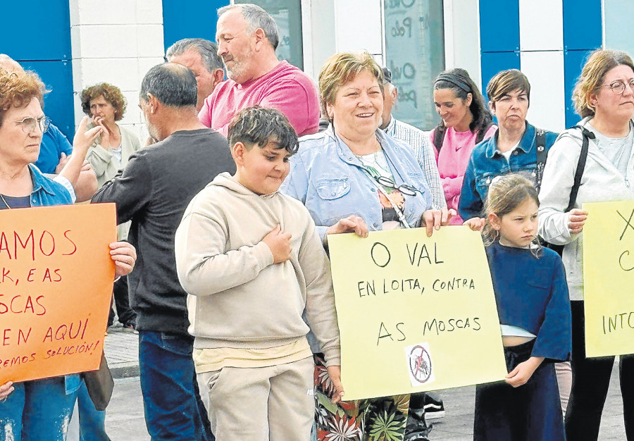 La lucha contra las moscas