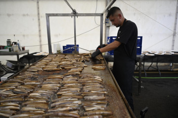 Marisco cortizas