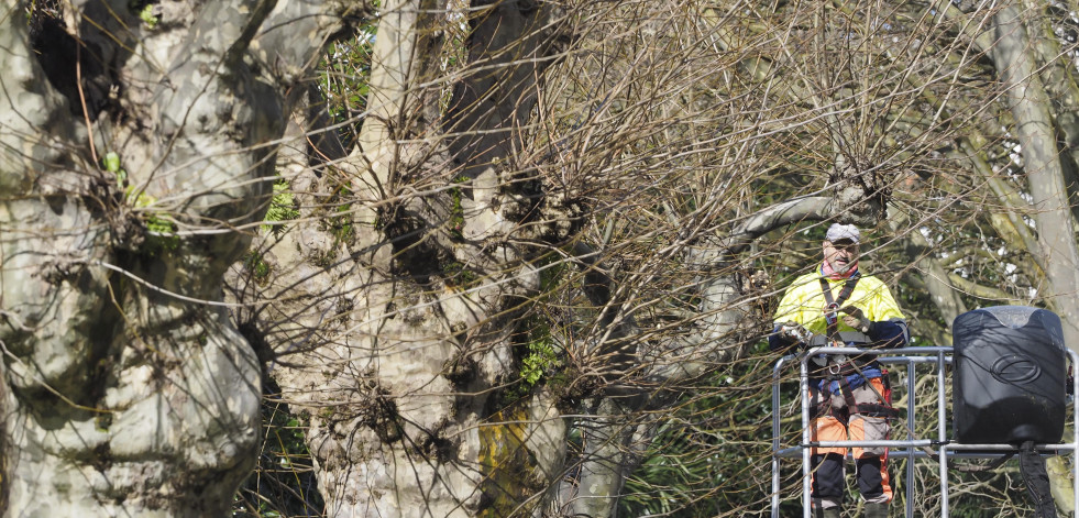 El Concello refuerza el área de Medio Ambiente con una ingeniera técnica agrícola