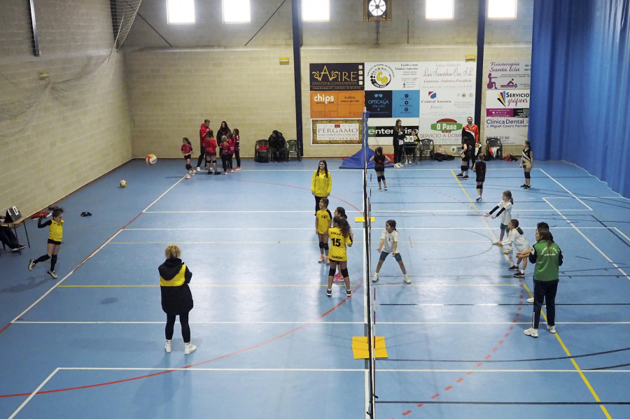 El Padroado de Deportes abre el plazo de alquiler  de instalaciones para entidades