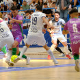 Parrulo