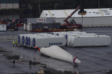 Vestas meis