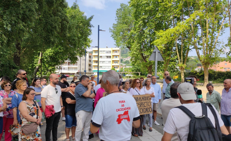 Ecologistas y vecinos se concentran en Cabanas contra la tala de árboles en el paseo