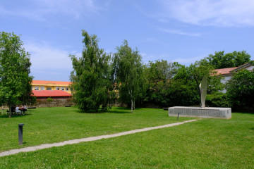 DSCF9452 14124621