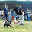 Más allá del ganado vacuno y cabalar
