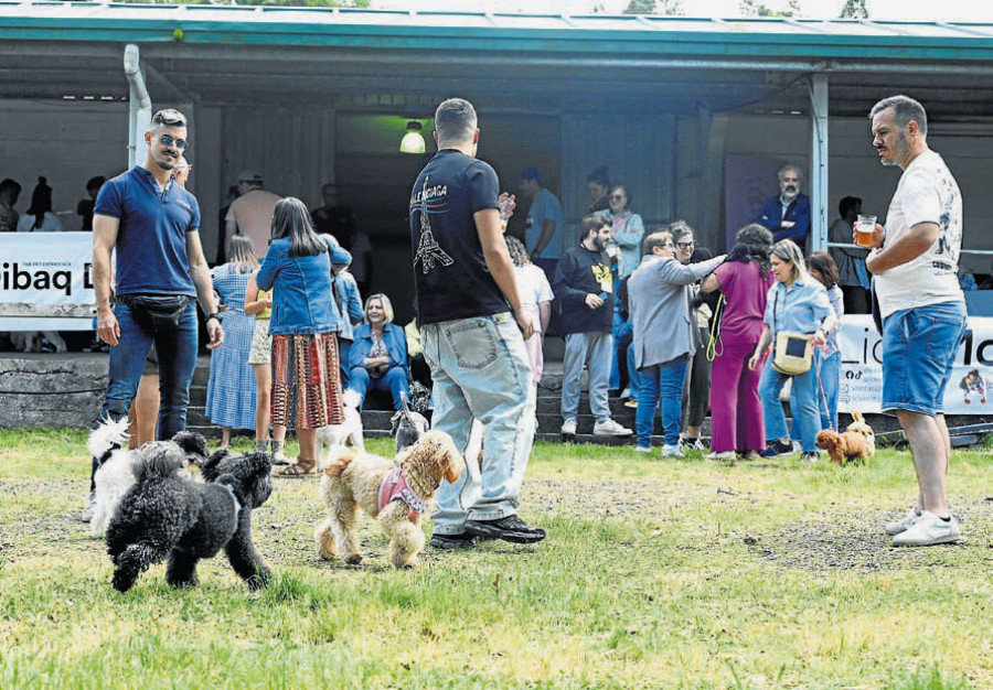 Más allá del ganado vacuno y cabalar