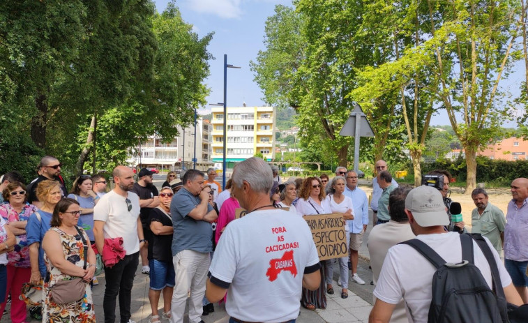 El BNG afirma que no hay informe que avale la tala de pinos en Cabanas