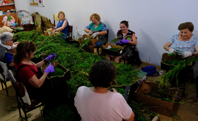 Las manos de las mujeres que sostienen la tradición de las alfombras florales de Ares