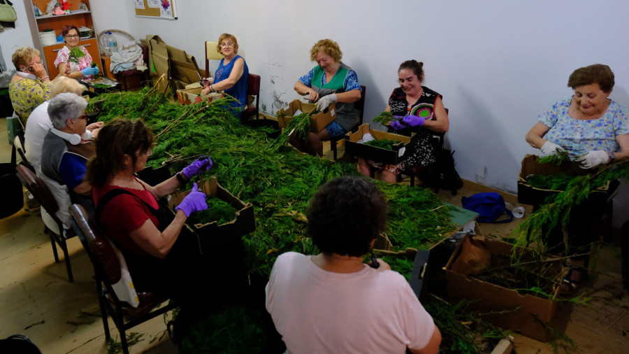 Las manos de las mujeres que sostienen la tradición de las alfombras florales de Ares