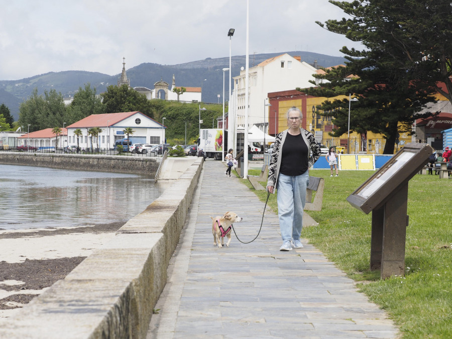 La senda peatonal de Ortigueira unirá el núcleo urbano con el aparcamiento del festival