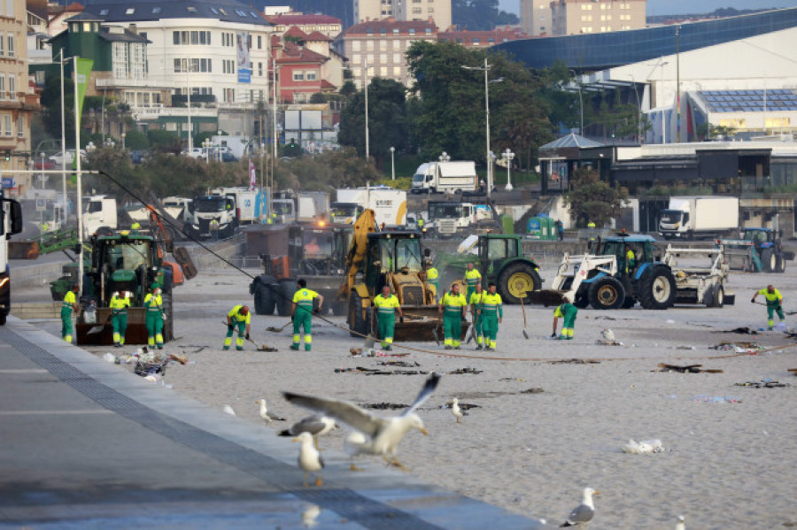 San Juan también para las gaviotas