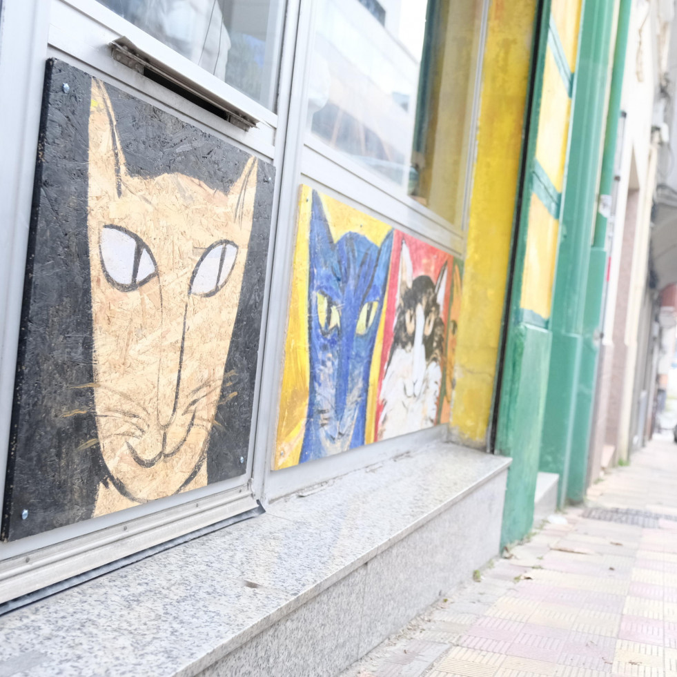 Aprende a elaborar tu propia línea cosmética con productos cotidianos en la Escola Aberta de Arte de Ferrol