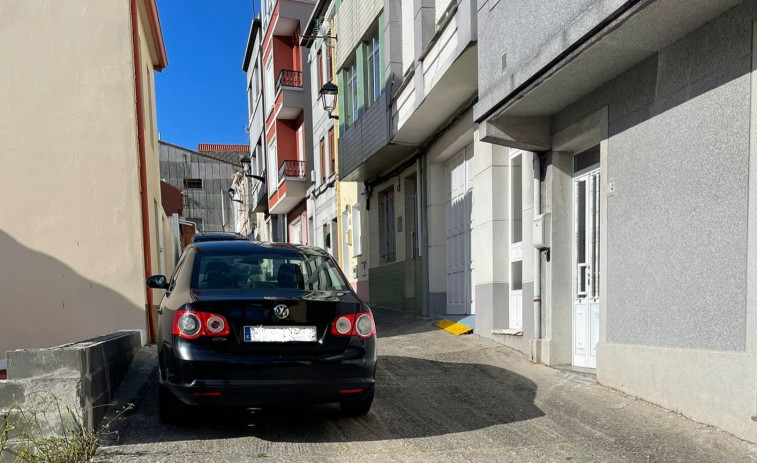 Malestar entre a veciñanza do concello de Cariño por unha praga de pulgas nas rúas