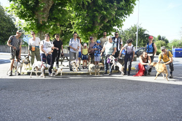 DSC9449 14261923