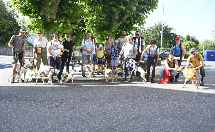 El refugio de Mougá celebra el Día Mundial contra el Abandono Animal con un paseo por el río Xuvia