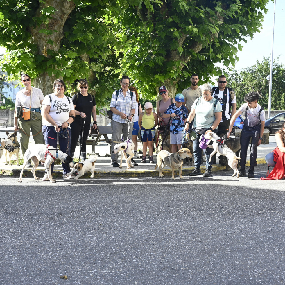 El refugio de Mougá celebra el Día Mundial contra el Abandono Animal con un paseo por el río Xuvia
