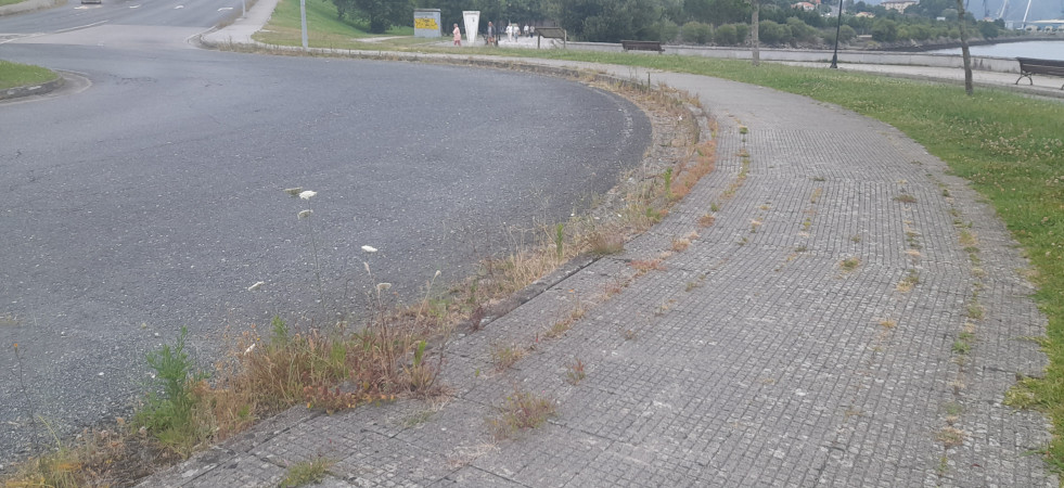 Críticas contra el Concello por la proliferación de vegetación en las carreteras