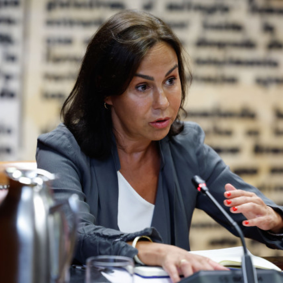 El juez investiga si Pardo de Vera cometió hasta cinco delitos en adjudicaciones irregulares