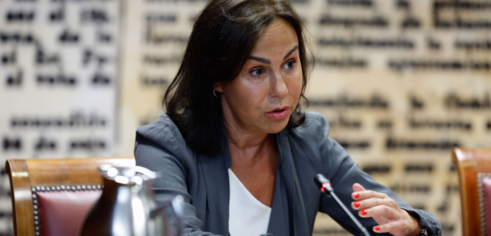 El juez investiga si Pardo de Vera cometió hasta cinco delitos en adjudicaciones irregulares