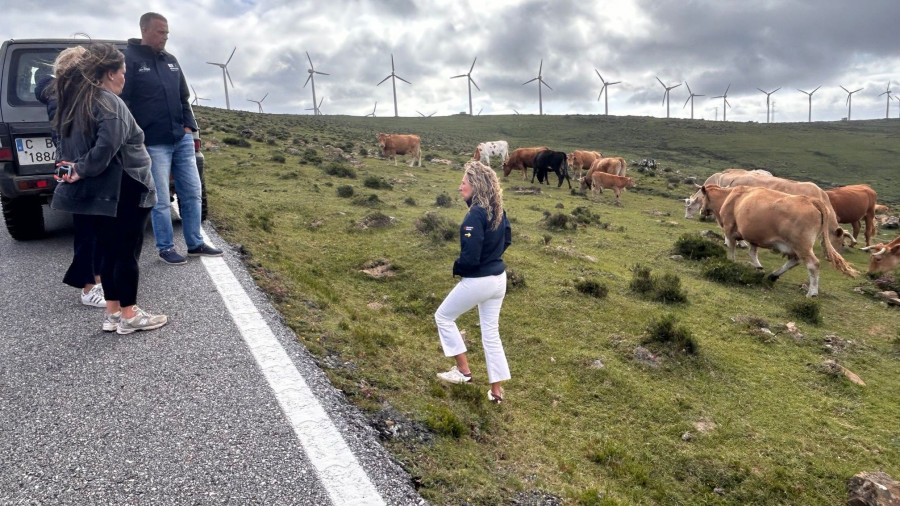 Las ayudas de la Xunta para la incorporación de jóvenes al sector agrario llegan a Cedeira