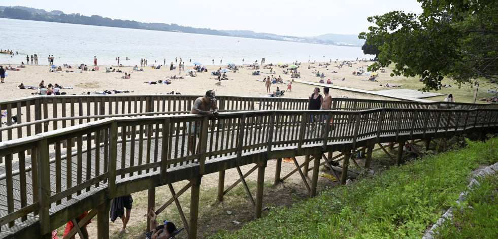 El Concello acomete labores de retirada de especies invasoras y poda en la playa de Caranza