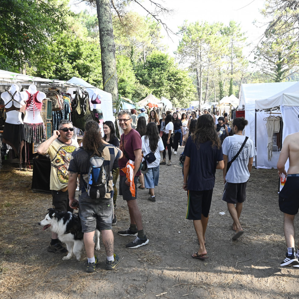 Puestos a disposición judicial dos personas que se dirigían al festival Ortigueira con estupefacientes