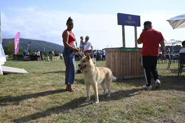 MascotasEquiocio24EC