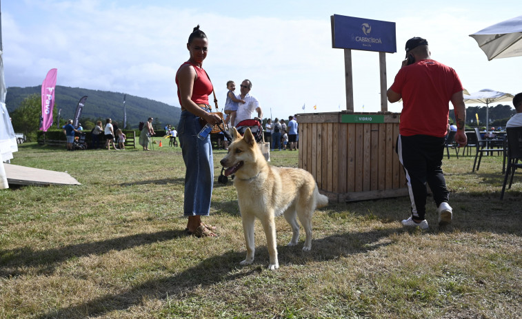O Festival de Mascotas de Equiocio aumenta os premios e fomenta a adopción de cans e gatos