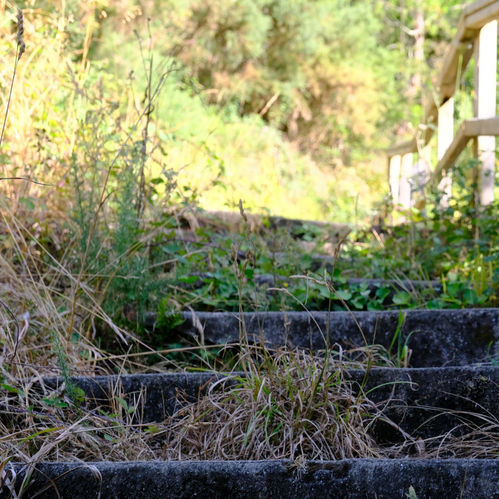 El sendero de la Presa do Rei: una joya en plena naturaleza de la comarca que languidece por la dejadez
