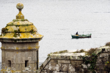 Mariscador Ferrol