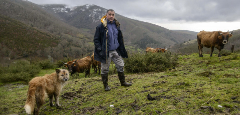 Organizaciones agrarias rechazan “desmantelar” la PAC y cifran el recorte en 77 millones al año para Galicia