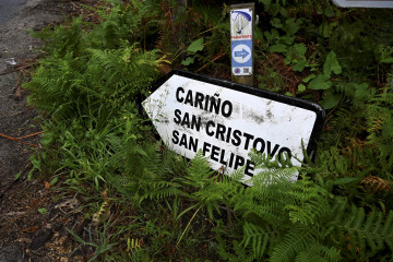 CarinhoChicoEC
