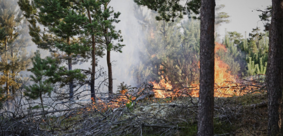 Extinguido el incendio forestal de Lalín tras quemar 83 hectáreas