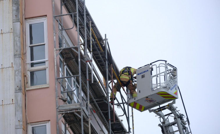 Despliegue de los bomberos para retirar un nido de velutina en el centro de Ferrol
