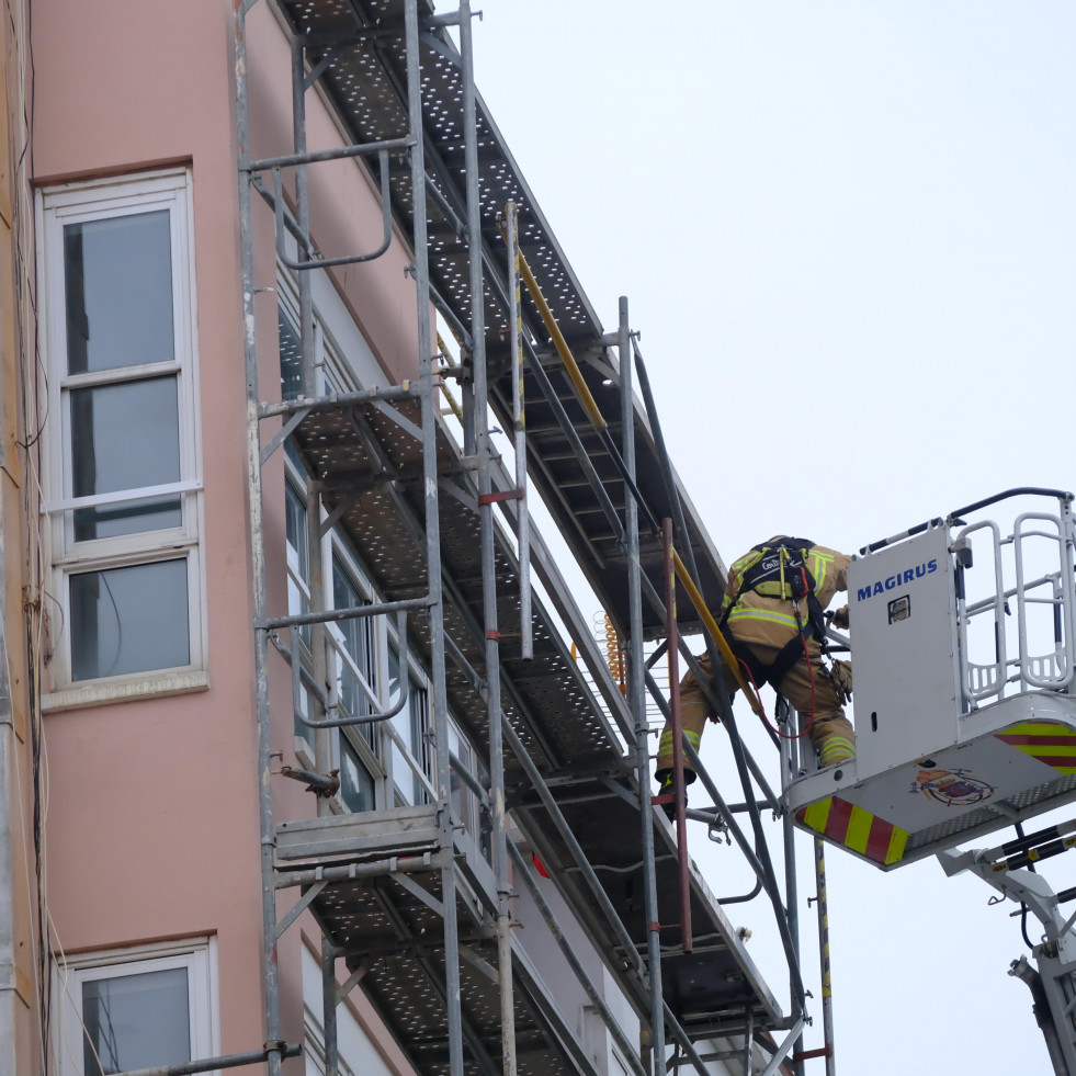 Despliegue de los bomberos para retirar un nido de velutina en el centro de Ferrol